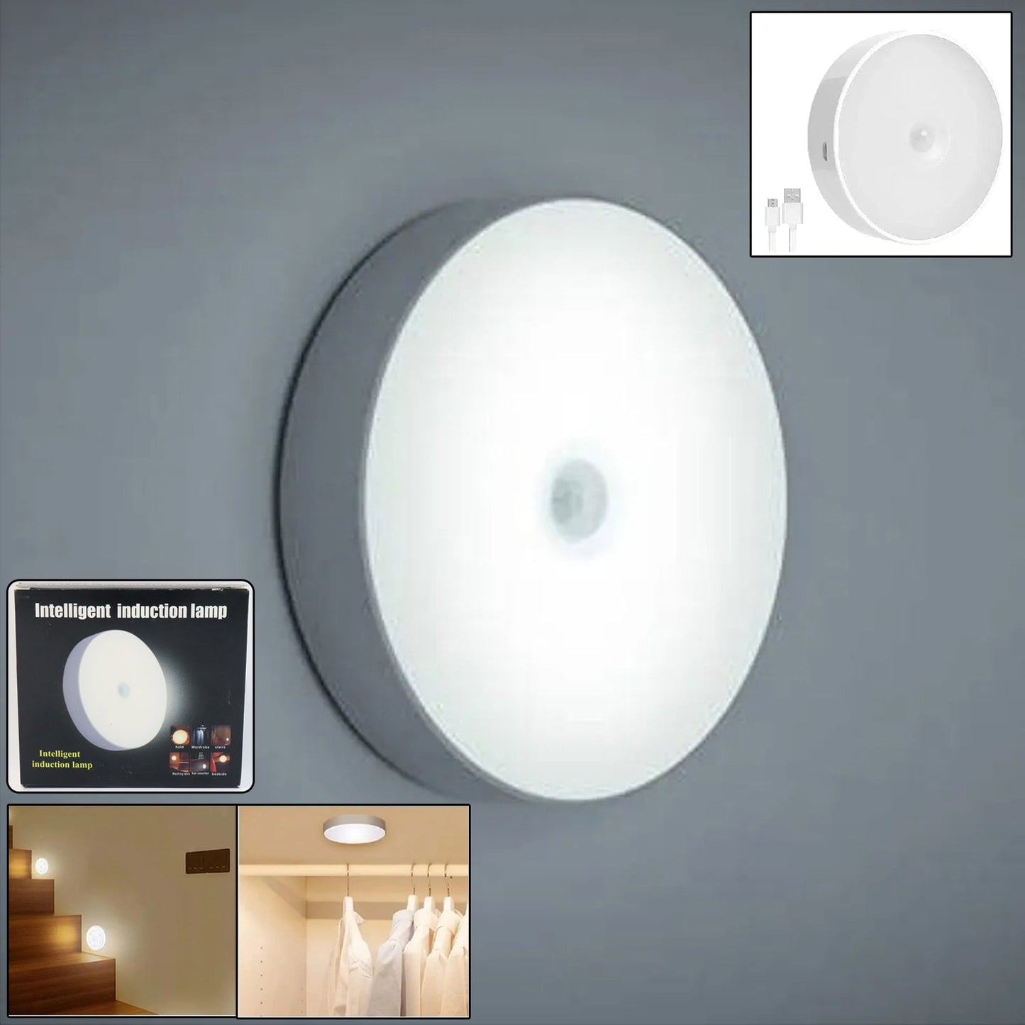 Rechargeable Motion Sensor Night Light (2 Pc)